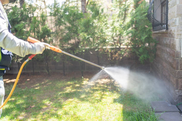 Best Seasonal Pest Control (e.g., summer mosquitoes, winter rodents)  in Mount Clemens, MI